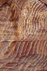 Amazing sandstone shapes and colors. : Jordan
